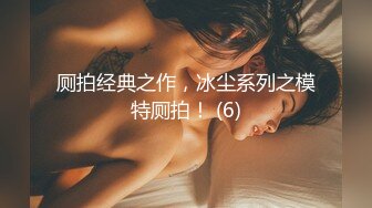 厕拍经典之作，冰尘系列之模特厕拍！ (6)