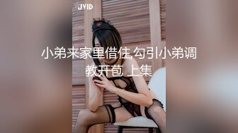 91秦先生第十八部,潛規則大胸絲襪腿模莉莉(VIP)