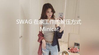 SWAG 在家工作的解压方式 Minicat