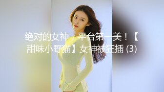 绝对的女神，平台第一美！【甜味小野猫】女神被狂插 (3)