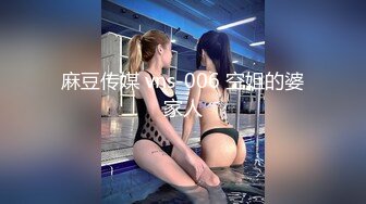 麻豆传媒 vns-006 空姐的婆家人