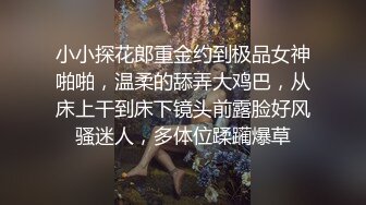 小小探花郎重金约到极品女神啪啪，温柔的舔弄大鸡巴，从床上干到床下镜头前露脸好风骚迷人，多体位蹂躏爆草