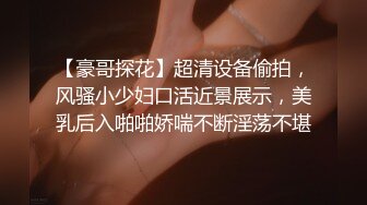 【豪哥探花】超清设备偷拍，风骚小少妇口活近景展示，美乳后入啪啪娇喘不断淫荡不堪