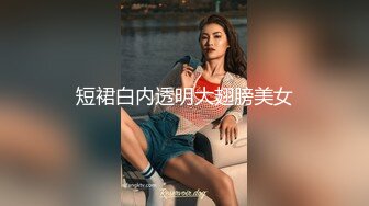 短裙白内透明大翅膀美女